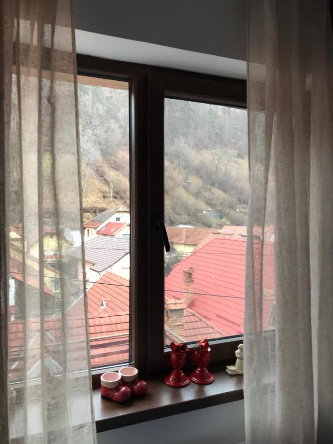 Casa Mountain View Villa Brasov Exterior photo